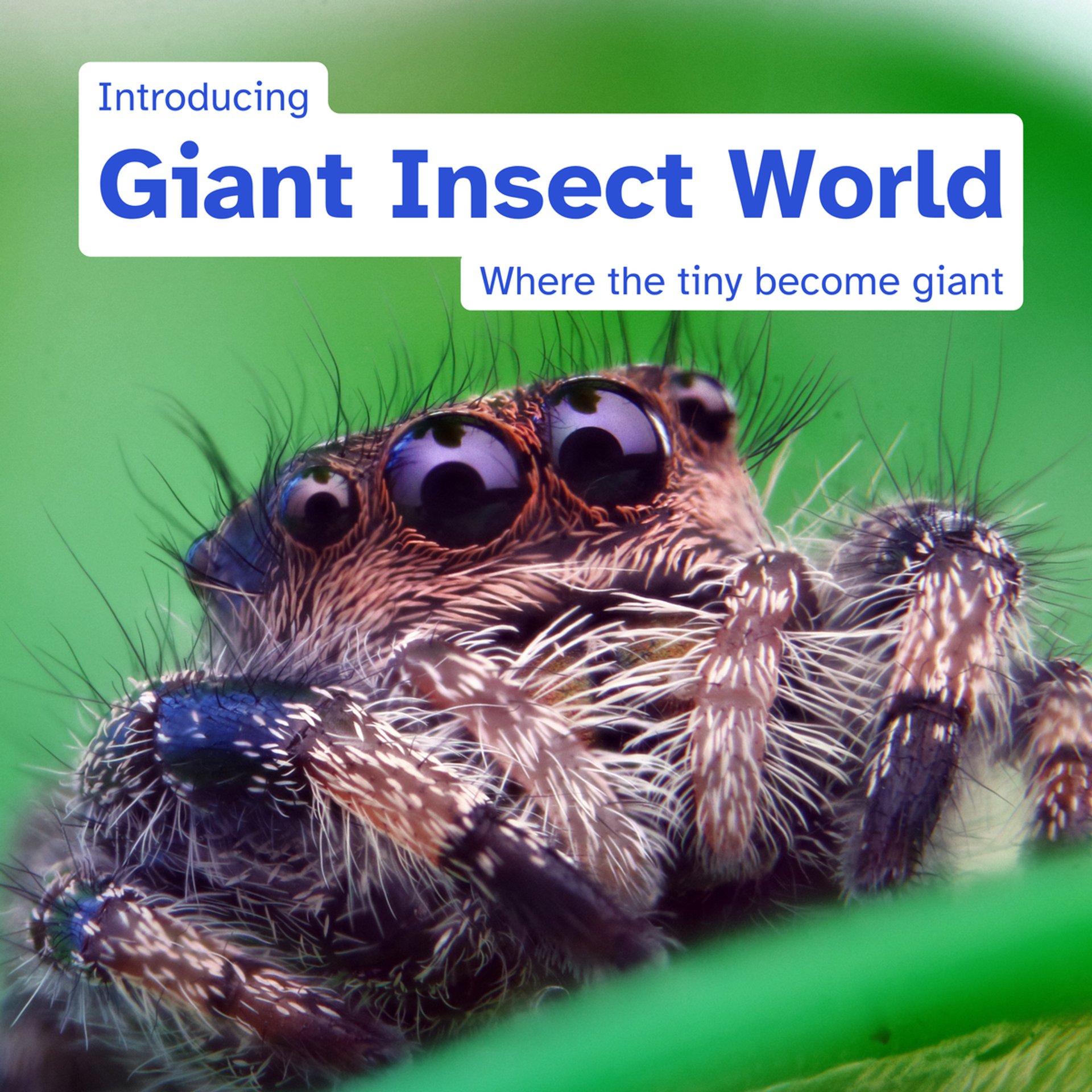 Giant Insect World